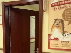-艾贝尔宠物医院·24H转诊中心·肿瘤猫专科(江宁双龙店)