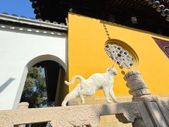-西园戒幢律寺