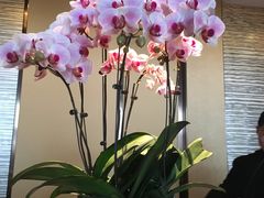 -舟山希尔顿酒店