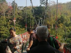 -西双版纳原始森林公园