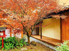 -三圣花乡旅游区