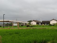 -莲花岛景区
