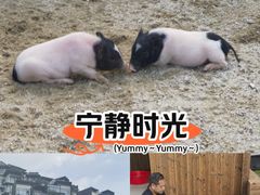 -台山颐和温泉城