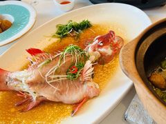 -陶陶居酒家(第十甫路总店)