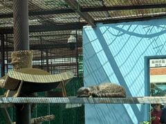 -青藏高原野生动物园