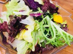 -巴依老爷新疆美食(望京小街店)