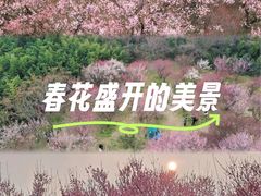 -蜀冈西峰生态公园