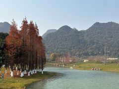 -云漫湖生态度假公园