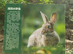 -湖洞水自然风景区