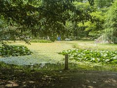 -长白岛森林公园