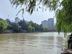 -运河游船(武林门码头)