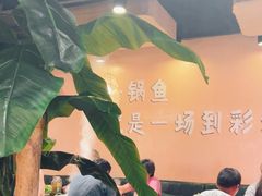 -云荷里·蒸汽石锅鱼·云南菜(中发百旺店)