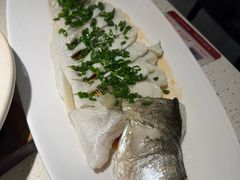 -船歌·鱼水饺青岛菜(金狮广场店)