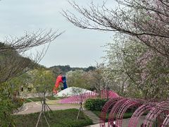 -佛山华盖山公园