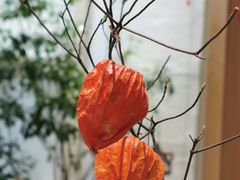 -隆德堂青瓷艺术·茶馆(故宫店)