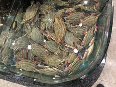 -渔码头食府(蓬莱阁店)