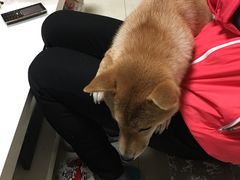 -鲜芋仙(常州吾悦国际广场店)