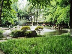 -温江公园