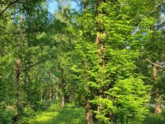 -国家植物园南园