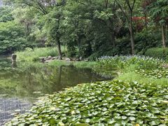 -木塔寺遗址生态公园