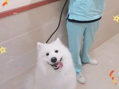 -艾贝尔宠物医院·狂犬免疫点(江山金象城店)