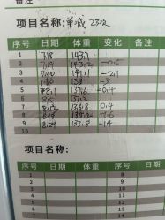 -寇氏减肥