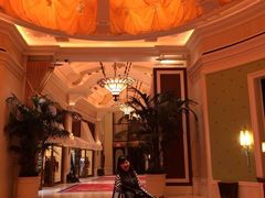 -拉斯维加斯永利酒店