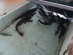 -金台阶鱼馆(于桥水库店)