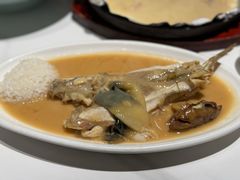 河豚鱼-渔人码头(中南店)