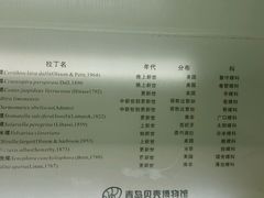 -青岛贝壳博物馆