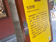 -西安市广仁寺