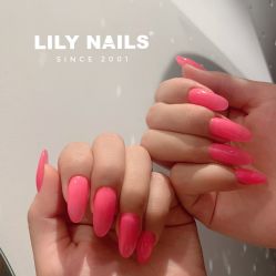 -LILY NAILS美甲美睫