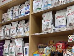 -中农大我爱我爱24h动物医院·中医针灸·猫专科·骨科医疗中心(双井店)