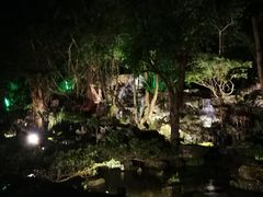 -绿光森林餐厅