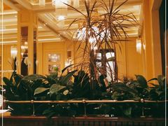 大堂-福楼法餐厅FLO