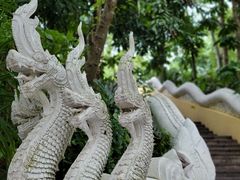 -曼听御花园