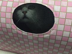 -佳怡动物医院·平价24小时·猫专科骨外科