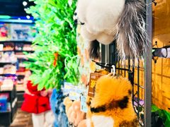 -酷乐潮玩(五道口购物中心店)