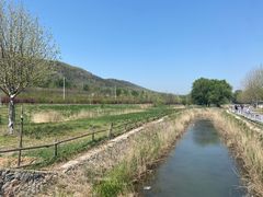 -大连铭湖国际观光牧场