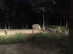 -清迈夜间动物园