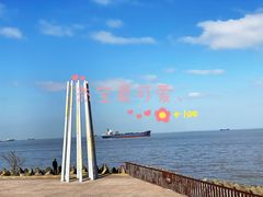 -上海滨江森林公园