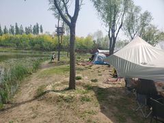 -东郊湿地公园