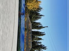 -永定河休闲森林公园