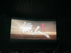 -山文星辉影城(青岛和谐广场店)