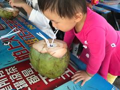 -万绿园