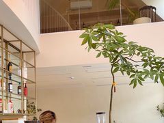 -花神·轻食简餐·咖啡馆·花卉绿植(荷兰花卉小镇店)