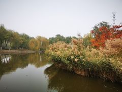 -南翠屏公园