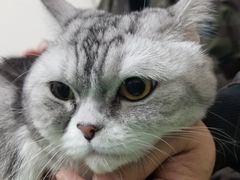 -美联众合爱康动物医院•复杂内科•肿瘤科•牙科•腔镜诊疗中心