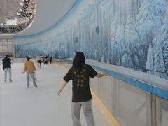 -世界之窗阿尔卑斯冰雪世界