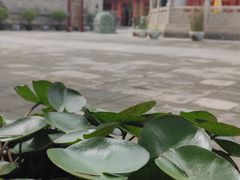 -西安市广仁寺